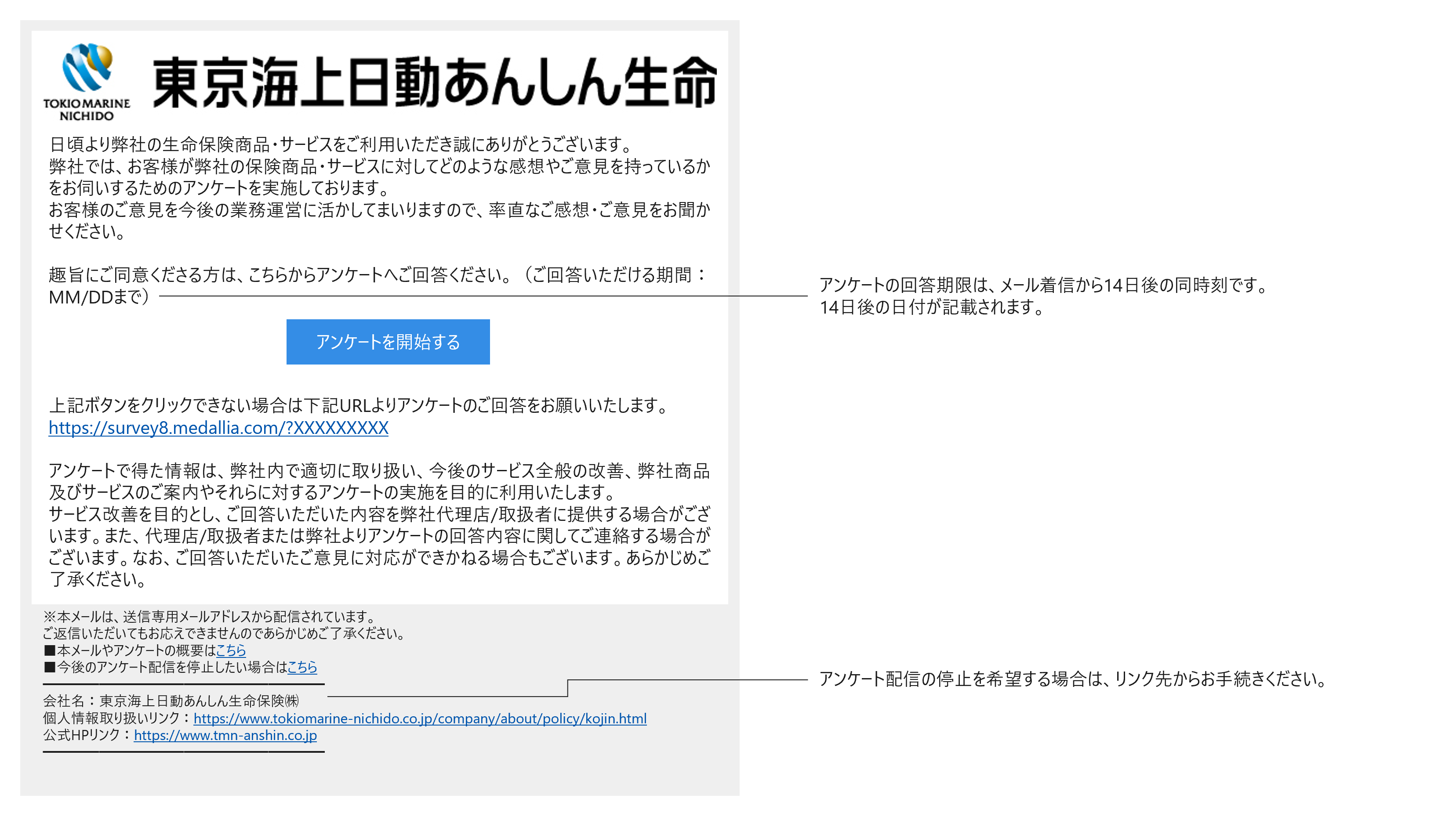 メール見本（その他のアンケート）